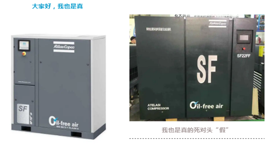 2026年的世界杯·世界杯男主持人