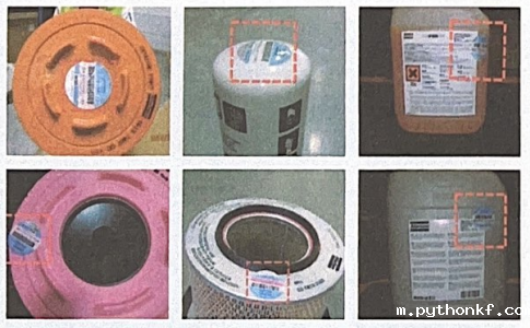 2026年的世界杯·世界杯男主持人